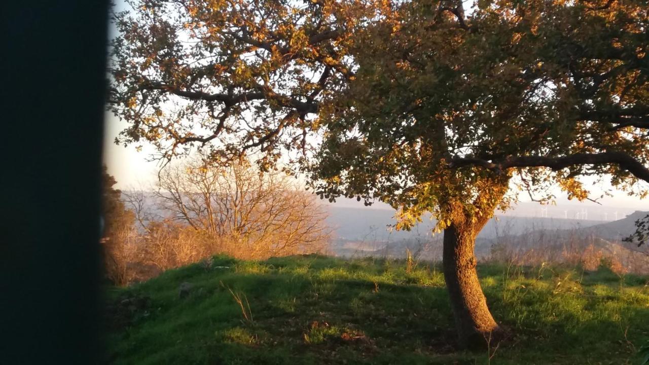 Su Montiju De Sa Falada Manna Cheremule المظهر الخارجي الصورة